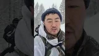 охота тайга Тыва 2022-2023