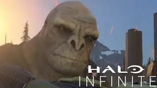 Halo Infinite is bussin 😩
