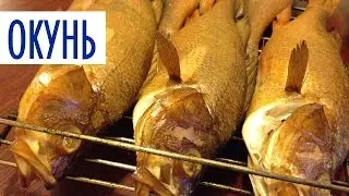 Копчение рыбы в домашних условиях. Окунь