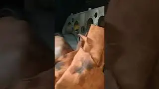 liner removed john deere 4045 4 cylinder engine from engine block after checking clearance