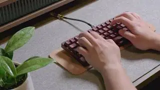 Tea House Cinque55 Typing Sounds | Cream Switches | Plateless
