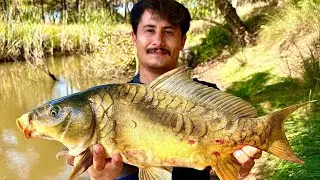 ŞAMANDRALI SİSTEM İLE SAZAN AVI