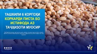 #ИМРӮЗ. Ташкили 6 коргоҳи коркарди писта бо истифода аз таҷҳизоти муосир.