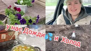 COLD🌧/ DIGGING again🤪 at my parents' place/MEATBALL SOUP