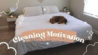 Cleaning Motivation / Clean with me / relaxing / my dog wanted to be in the video