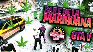 BAILE DE LA MARIHUANA - PITT KILLAH MARBELLA VICE