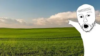 Gamer Looks at Pictures of Outside