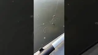 Гарний ранок 😍😍