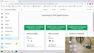 How to set up ZigBee with Home Assistant-www.sonoff.in