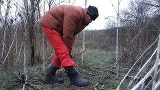 Царская монетка, чуть не пропустил!