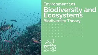 Biodiversity and Ecosystems - Biodiversity Theory  | Environment 101 | CSEN