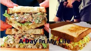 A Day In my Life,He Groped His Moms Butt!!,Making Sandwiches,Home Workouts, Story-time,Boxing ,