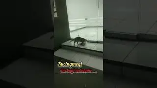 Berbagi untukmu