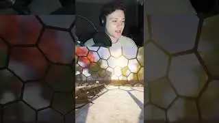 Ant Lion Owns Infected Broodmother...