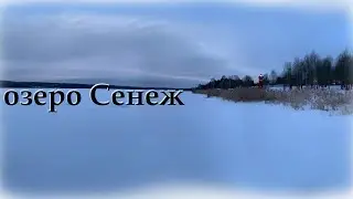 Сенеж - Маяк, Судак, Щука, Окунь, Плотва, Лещ, Амур, Карп. Вся эта рыба есть на Сенеж. Река Мазиха )