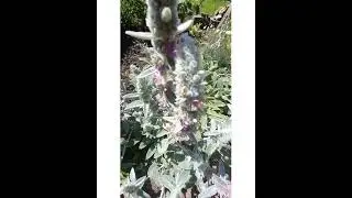 Яркие моменты дачного лета!!!☝😇👌🌞🏞💦💦💦🍓🍓🍓