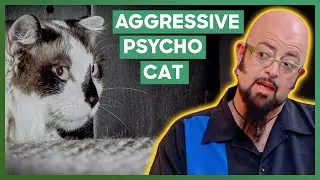 Jackson Helps A Woman Whose Cat Attacks Her Grandchildren | My Cat From Hell