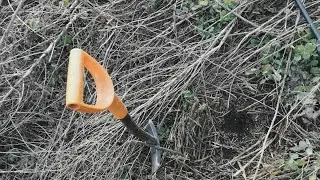 Открытие поискового сезона 2021
