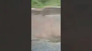 #beautiful