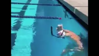 Olympic Gold Medalist Katie Ledecky Swimming with Cup of Chocolate Milk on her Head