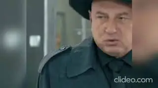 Пес лучшие моменты с тик тока