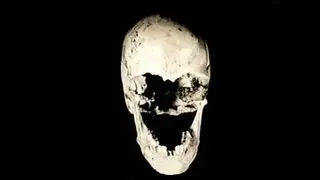 EXTREMELY RARE:: TED BUNDY VICTIMS' SKULL. CRIME SCENE EVIDENCE Issaquah BODY DUMP SITE