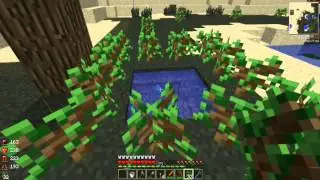 Minecraft with mods S4E04 (А вот и Сумеречный лес)