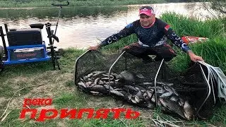 Река Припять.Незабываемая рыбалка.