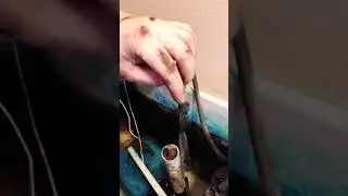 Toilet Won't Flush -- Bye-bye Crap