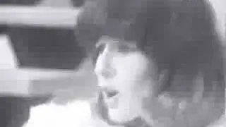 PUSSY CAT ce n'est pas une vie