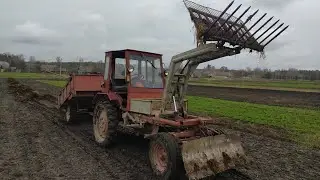 Самодельный вилочный погрузчик ,  погрузка , вывоз , выгрузка навоза .