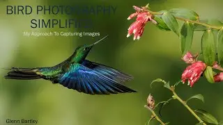 Bird Photography Simplified - Glenn Bartley