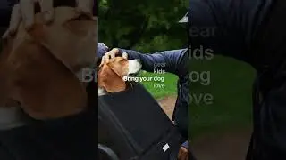 Bring your dog / Thule Courier