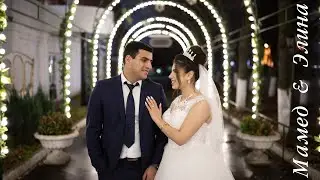 Мамед & Элина