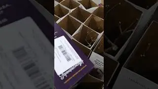Откуда едут саженцы роз