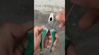 15 Daily Tips