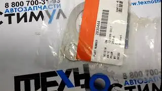 2830444  Прокладка выпускного коллектора для Cummins ISF3,8/ISBe/ISDe