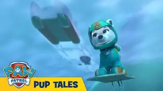 🐶 Sea Patrol: Pups Save a Frozen Flounder | PAW Patrol | Cartoons for Kids