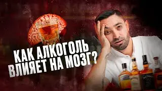 КАК АЛКОГОЛЬ ВЛИЯЕТ НА МОЗГ?  ЧТО БУДЕТ ЕСЛИ УПОТРЕБЛЯТЬ  АЛКОГОЛЬ?