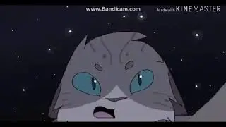 Коты Воители Клип - Дно