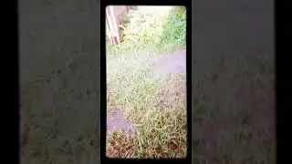 30 мая 2019 г.