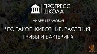 Andrey Granovich — What are animals, plants, fungi, and bacteria?