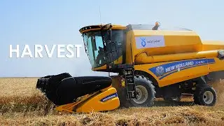 How Is Wheat Harvested? Let's Take A Look From The Inside