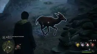 Hogwarts Legacy - Let me Help Deer