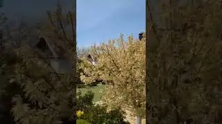 Ураган в Анапе😱Жизнь на Юге!Жду всех в гости к себе на канал! 
