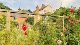 5 Minute Gardening | Gardening Hacks | Evening Gardening Routine 