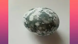 Быстро и просто покрасить яйца чаем каркаде и горохом к Пасхе