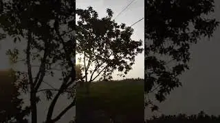 Patroli lahan sengketa