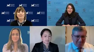 Charting a Path Forward at the WTO: Determining Next Steps