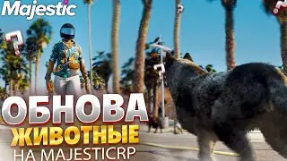 ЖИВОТНЫЕ ПО ВСЕМУ ГОРОДУ! ОБНОВЛЕНИЕ НА MAJESTIC RP GTA 5 RP 